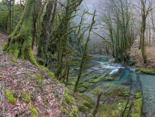 beautiful canyon in Sochi National Park. Russia