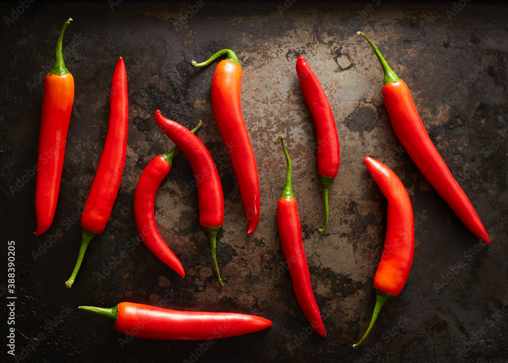 Chiles on Metal background