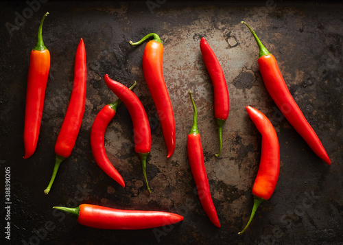 Chiles on Metal background