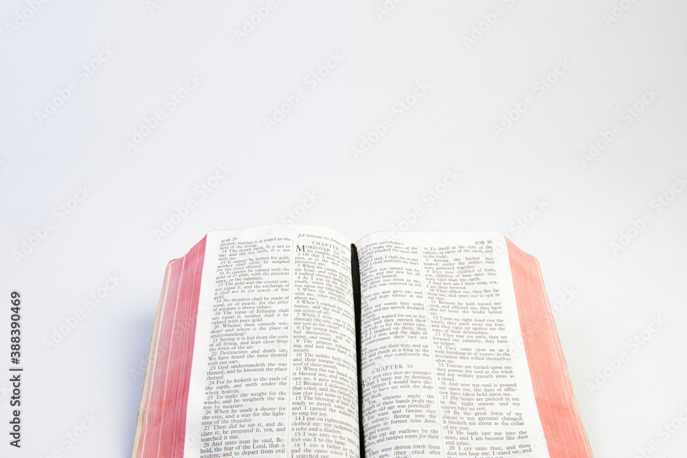 Obraz premium book on a white background