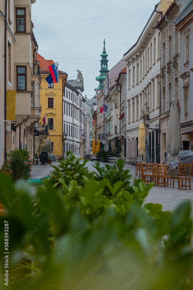 Streets of Bratislava, Slovakia, on a dull day, hiding behind green foliage on the street.