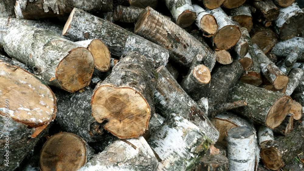 Pile of cut birch logs of different cross-sections are piled up on backyard or warehouse as preparation for heating season to heat home. Top down moving. Close-up. Pile of cut birch logs of different cross-sections are piled up on backyard or warehouse as preparation for heating season to heat home. Top down moving. Close-up.