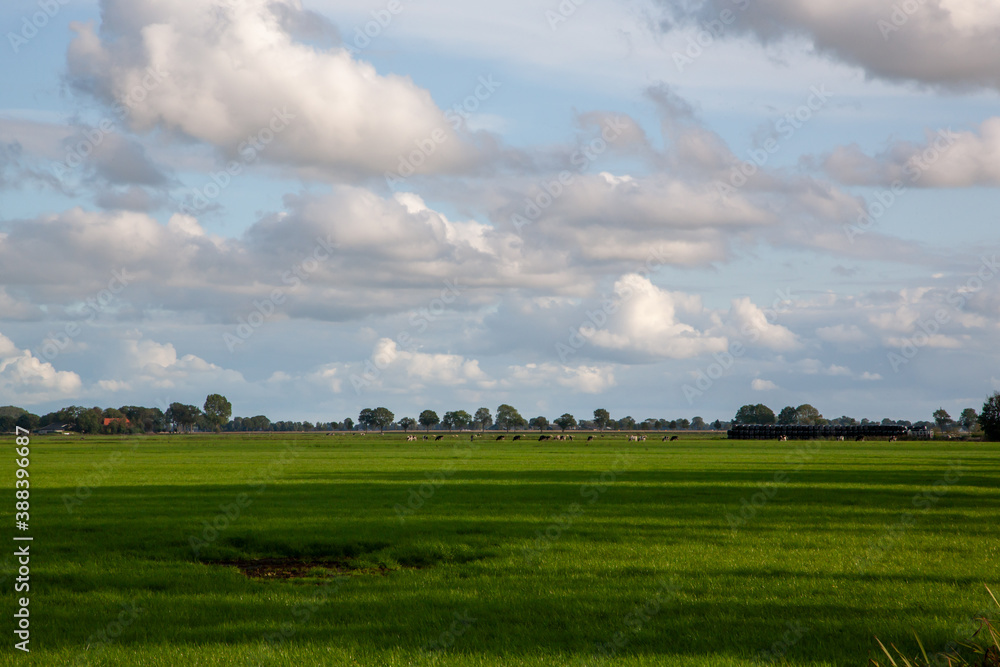 Landschaft an der overijssel Landschaft an der overijssel