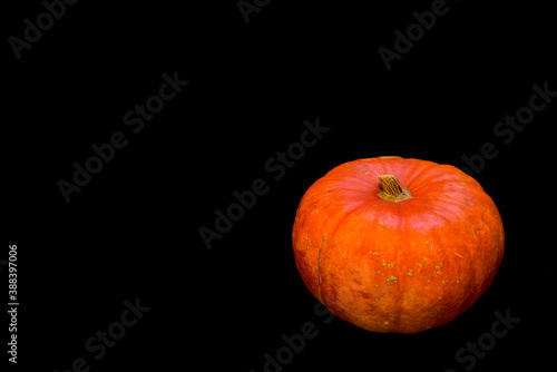 Single isolated pumpkin on black absorbing background with copy space and clipping path. Simplicity. Minimalism. Beautiful autumn background