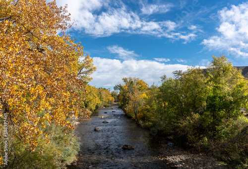 Looking Down Creek Lined with Colorful Fall Cottonwood Trees