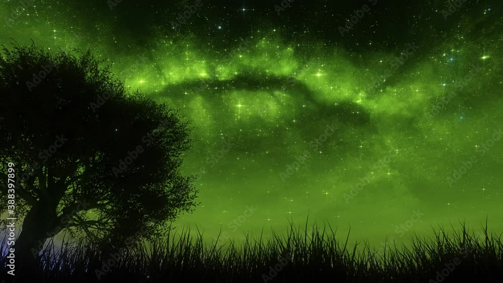 Nature Landscape under a Green Starry Landscape Loop Background Nature Landscape under a Green Starry Landscape Loop Background