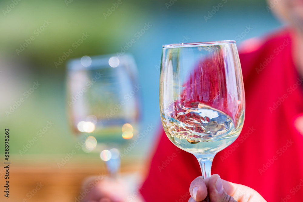 Hand holds two glasses with white wine next to grapes in nature Hand holds two glasses with white wine next to grapes in nature