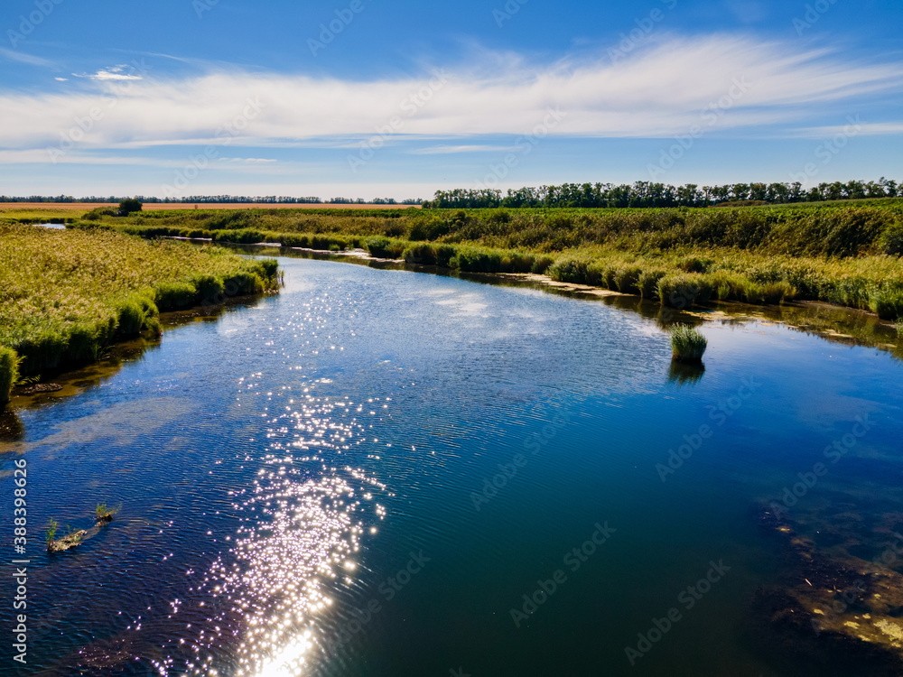 Summer day over the cane and the river