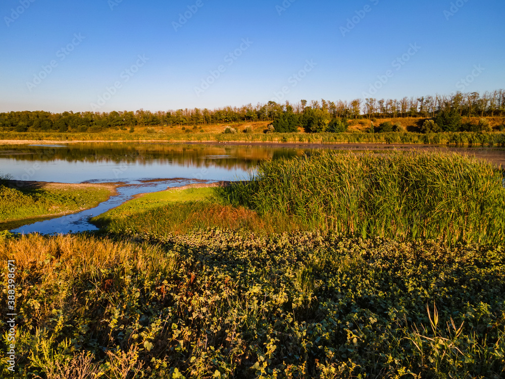 Fototapeta premium Summer day over the cane and the river