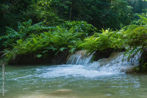 waterfall in the forest