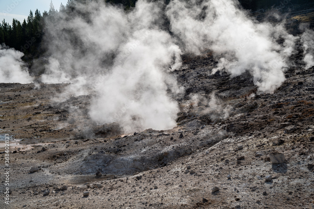 Porcelain Basin at in the morning, lots of steam in Norris Geyser Basin, Yellowstone National Park