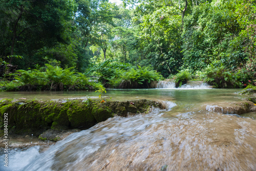 river in the woods photo