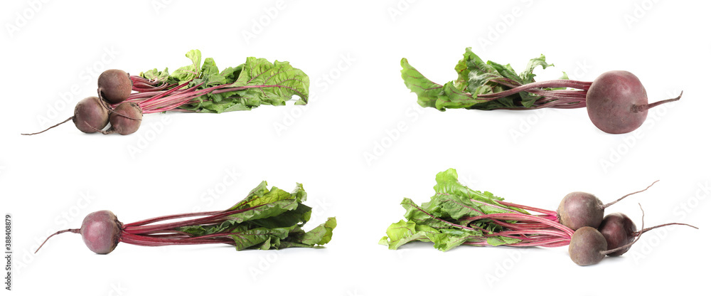 Set of fresh beets on white background. Banner design Set of fresh beets on white background. Banner design