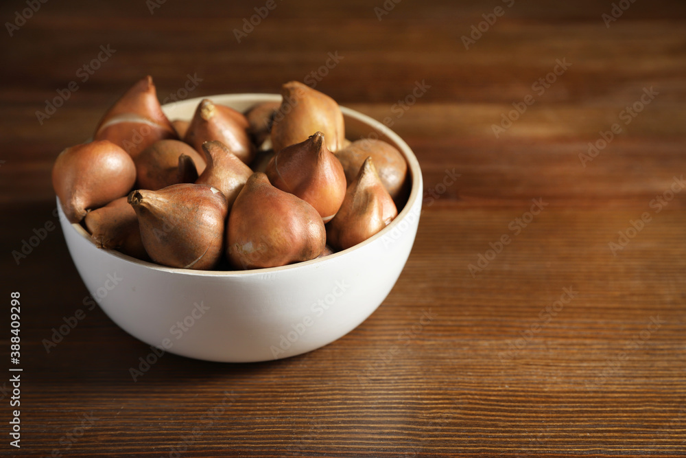 Obraz premium Tulip bulbs in bowl on wooden table. Space for text