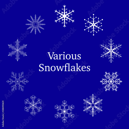 Vector illustration of various snowflakes