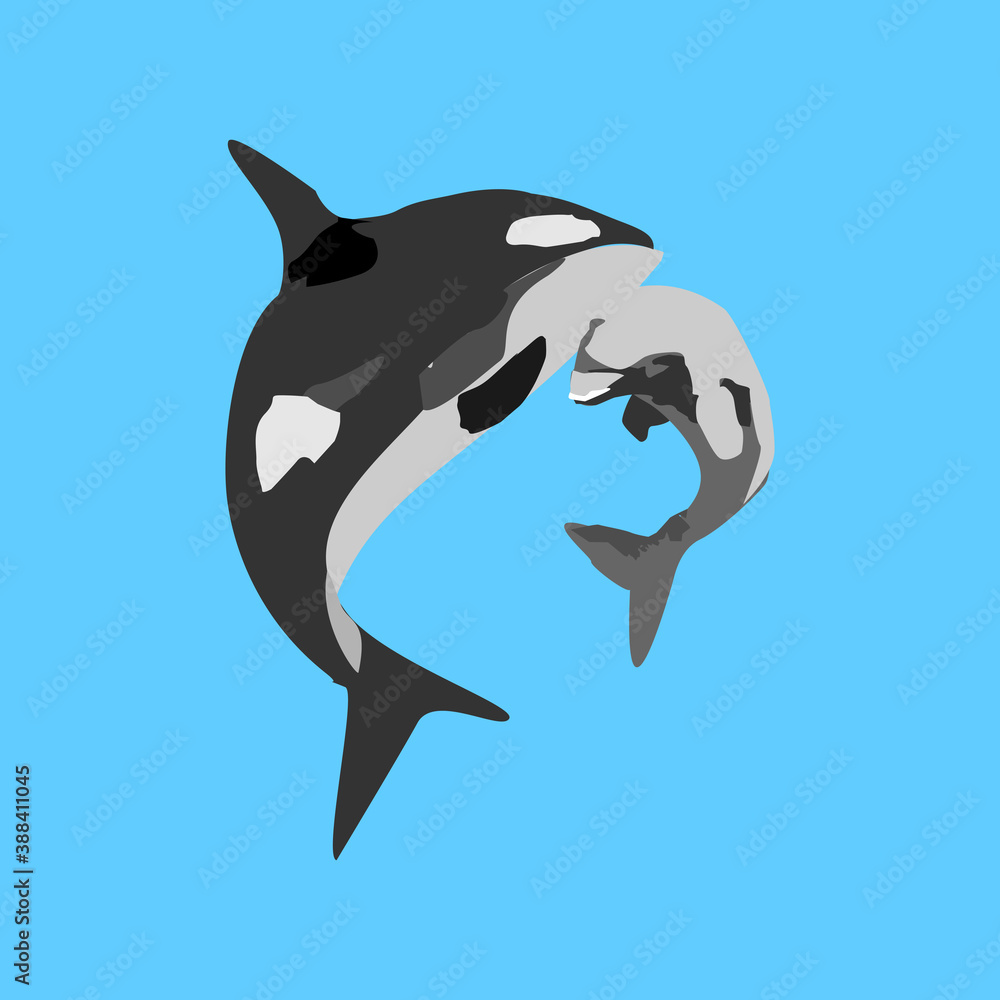 Fototapeta premium dolphin in the water