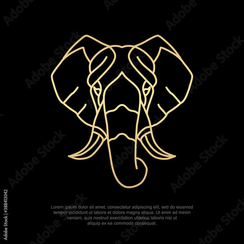 Elephant head, animal luxury symbol, line art, simple and modern logo or icons, editable design templates