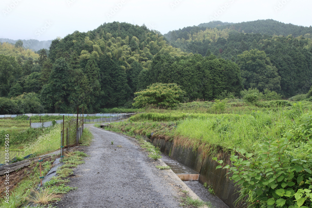 山の辺の道　長岳寺付近