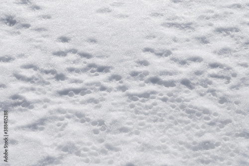 冬 雪 テクスチャ 背景