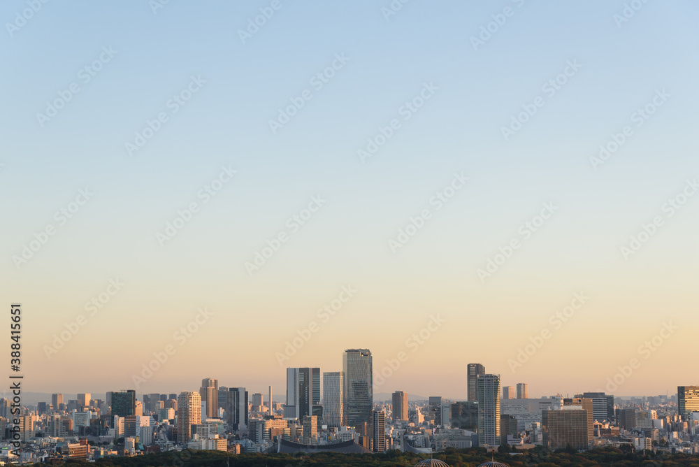 高層ビルから見る東京の夕景