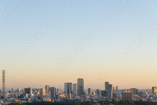 高層ビルから見る東京の夕景