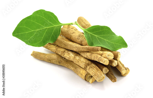 A Pile of Ashwagandha Dry Root with Fresh Green Leaves, also known as Withania Somnifera, Ashwagandha, Indian Ginseng, Poison Gooseberry, or Winter Cherry. Isolated on White Background.