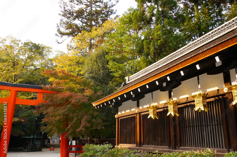 三井神社と鳥居
