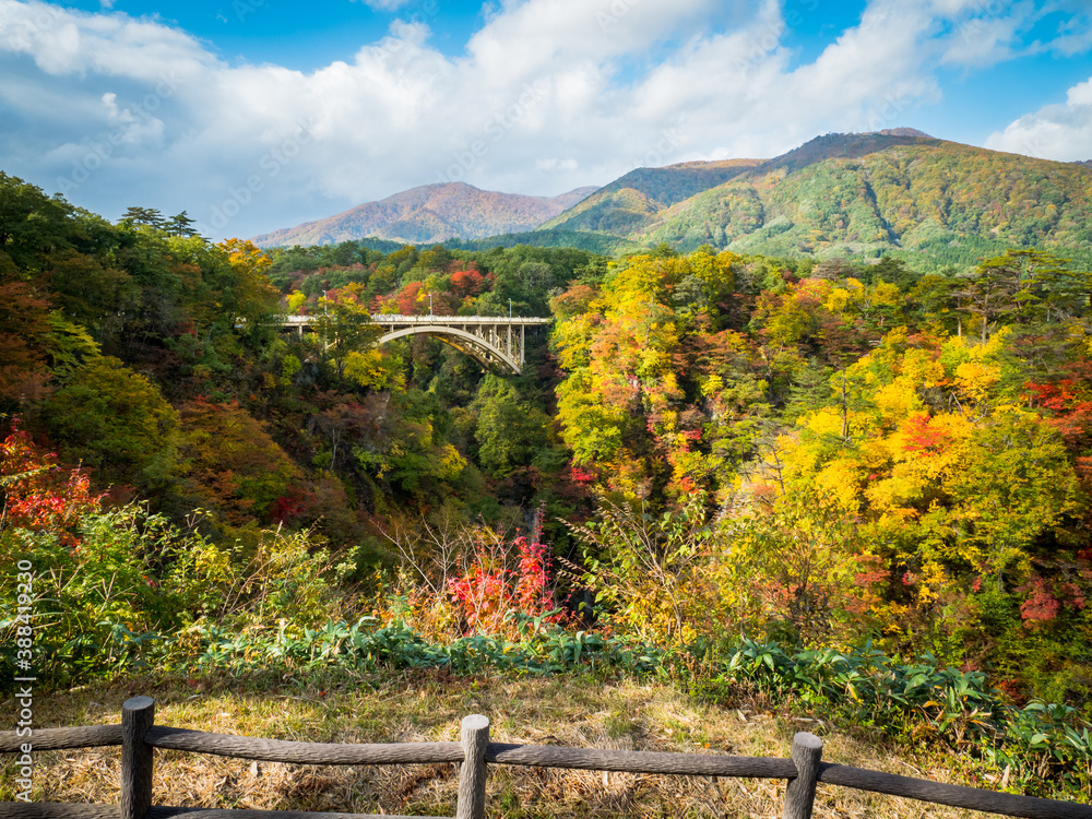 autumn in naruko gorge bridge