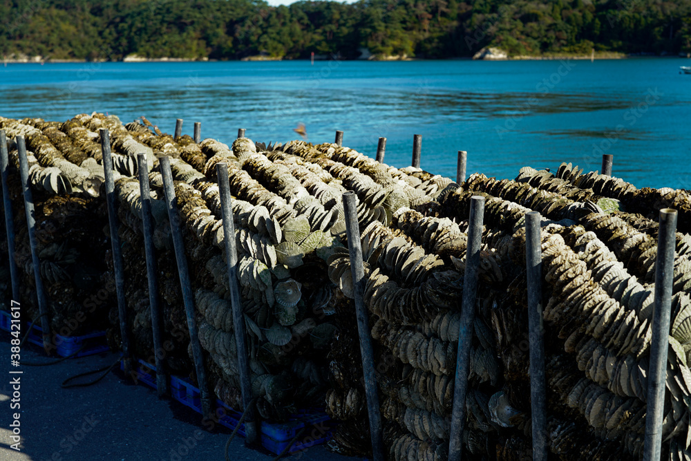 Obraz premium Sanriku.