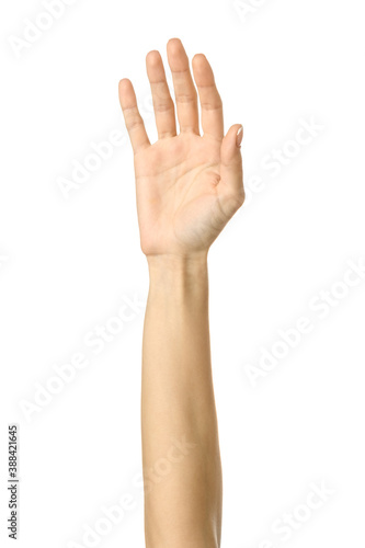 Raised hand voting or reaching. Woman hand gesturing isolated on white © Iurii