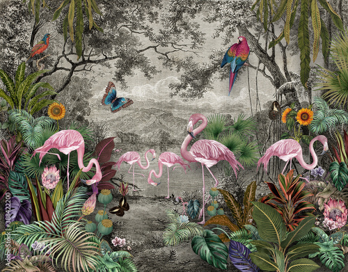 Fotografija wallpaper jungle and tropical forest banana palm and tropical birds, old drawing