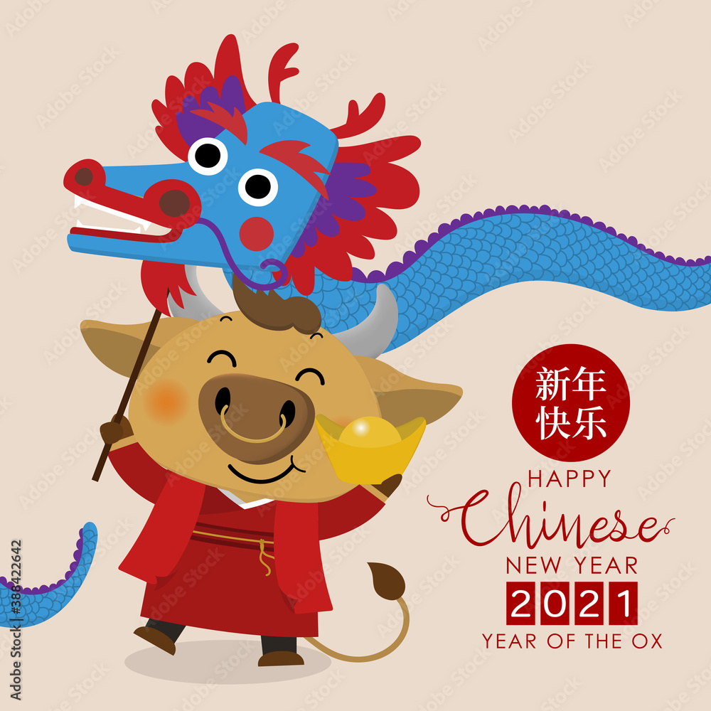 Naklejka premium Happy Chinese new year greeting card. 2021 Ox zodiac. Cute cow and gold dragon dance. Animal holidays cartoon character. Translate: Happy new year -Vector