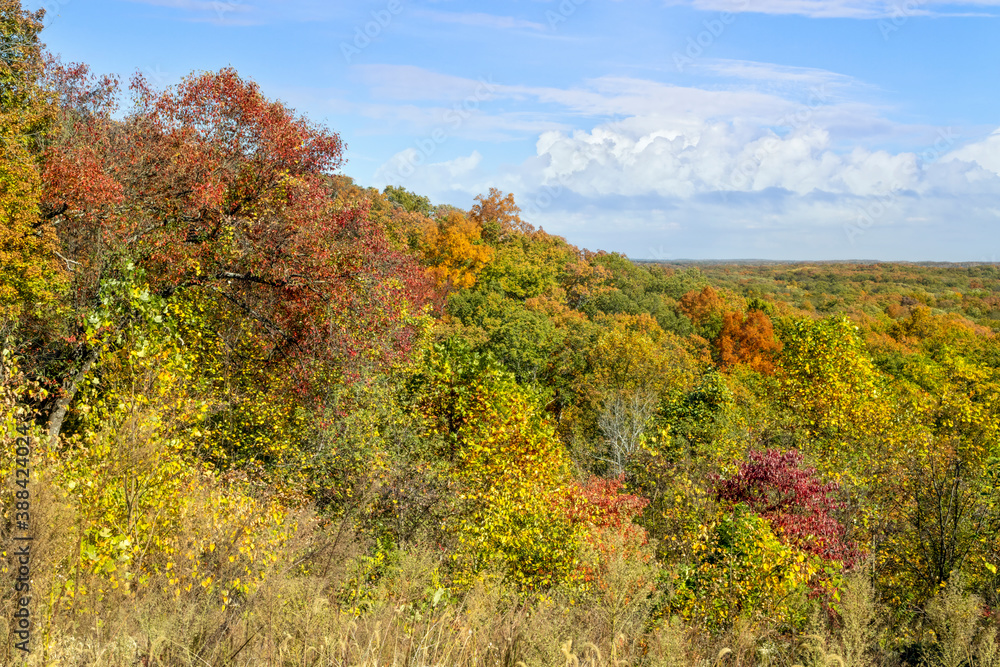Fall trees with colorful autumn leaves cover a hillside under a cloudy blue sky in scenic Brown County State Park in rural south central Indiana.