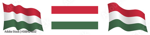 flag of hungary in static position and in motion, developing in wind in exact colors and sizes, on white background