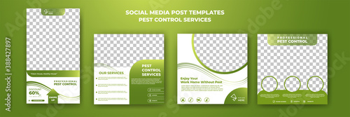 Set of editable square background template. Pest control social media post template. Green color background with photo collage. Usable for social media post, story and web internet ads.