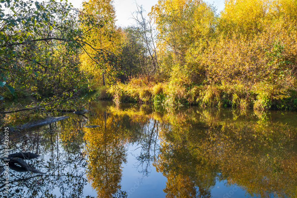 Autumn forest is reflected in the water of river