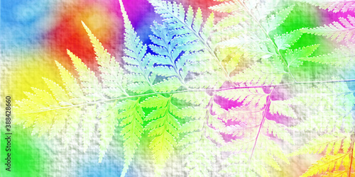 gradient multi color on fern pattern © apithana