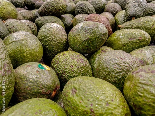 pile of fresh, clean organic avocados, bunch of hass avocados