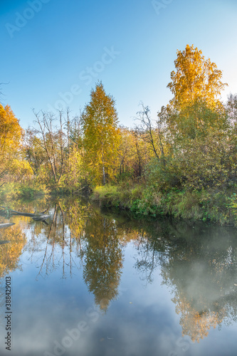 Autumn forest is reflected in the water of river with fog on the water © Dmitrii Potashkin