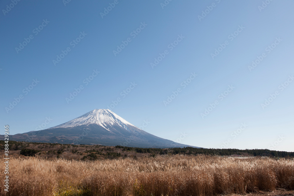 Obraz premium 秋の朝霧高原