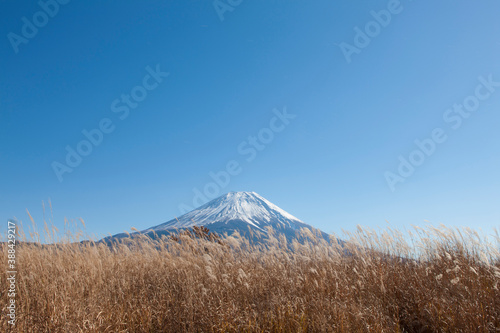 秋の朝霧高原