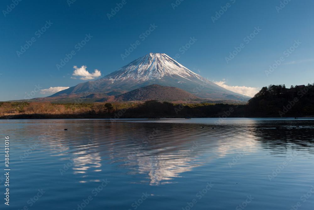 精進湖からの富士山 精進湖からの富士山