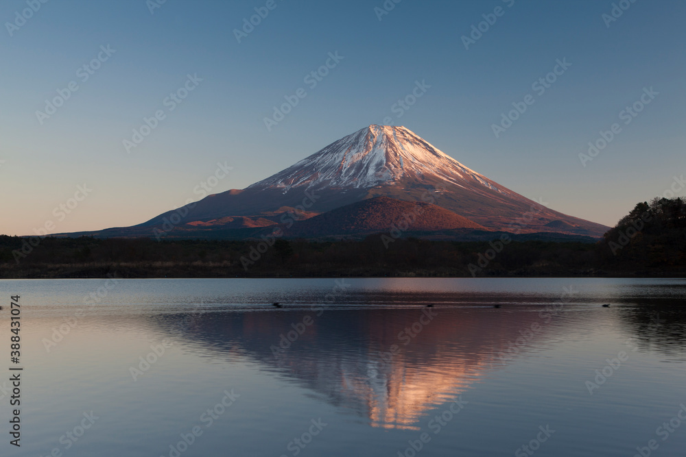 精進湖から夕日に染まる富士山