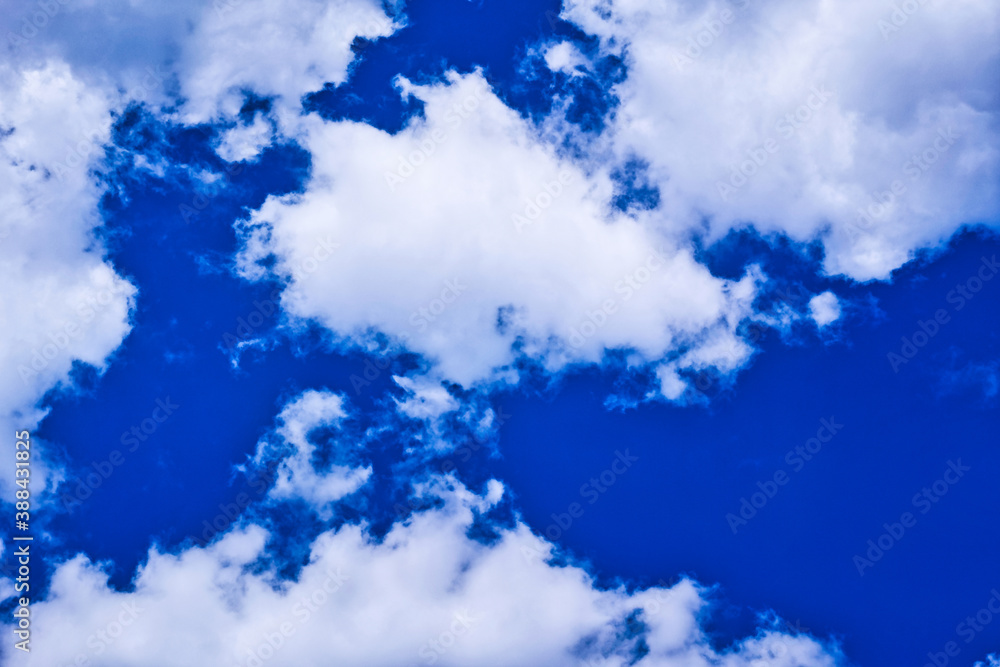 Obraz premium 青空に浮かぶ白い積雲