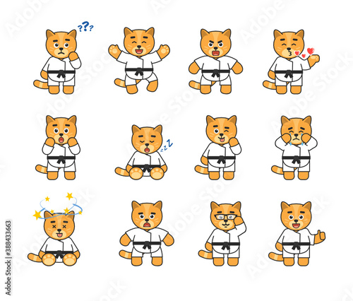 Set of karate cat mascots showing various emotions. Cute karate cat laughing, crying, angry, sad, sleeping and showing other expressions. Vector illustration bundle