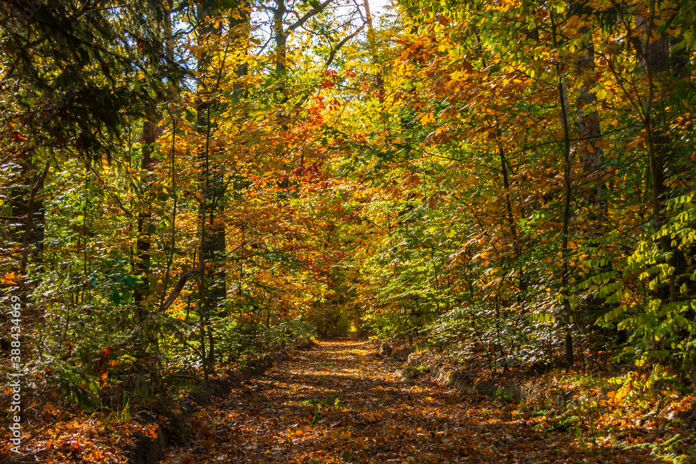 Spreewaldlandschaft im Herbst Spreewaldlandschaft im Herbst