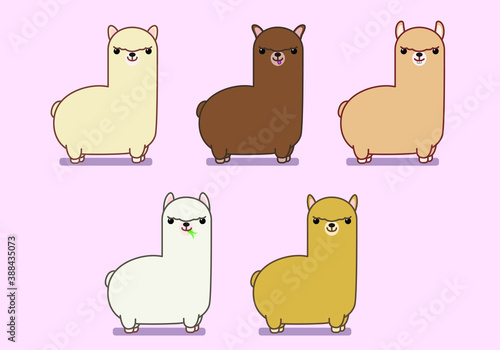 Vector of 5 cute alpacas with different fur colors