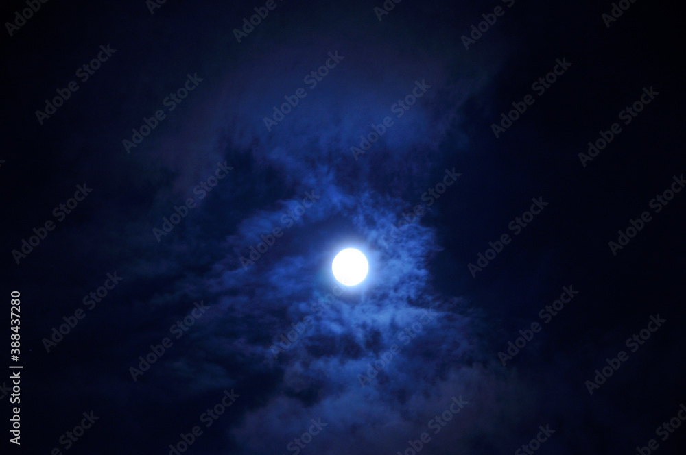 Obraz premium 雲間の月