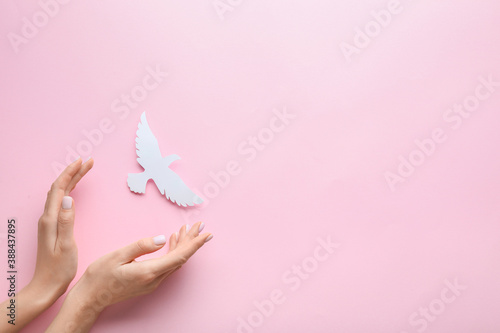 Female hands with paper dove on color background. International Day of Peace © Pixel-Shot