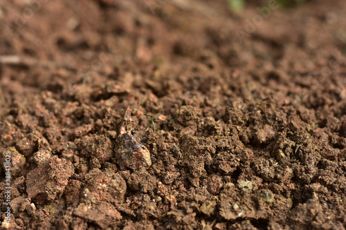 Clean soil for cultivation. The potting soil or peat is suitable for gardening and is one of the four natural elements. The land is life for our planet earth. Selective Focus.